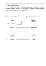 Biznesa plāns 'Viesnīca "Akvārijs"', 31.