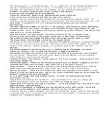 Eseja 'Marketing ', 1.