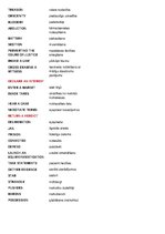 Konspekts 'Juridiskā angļu valoda', 2.