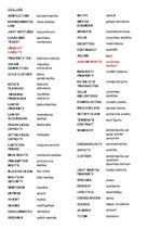 Konspekts 'Juridiskā angļu valoda', 3.