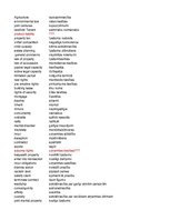 Konspekts 'Juridiskā angļu valoda', 27.