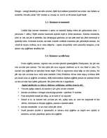 Referāts 'Kimono', 5.