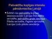 Prezentācija 'Pašvaldību sadarbība. Pašvaldības masu sabiedriskās organizācijas', 17.