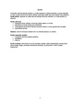 Referāts 'Sadzīves tehnikas ietekme uz organismu', 4.