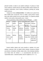 Referāts 'Nosacījumi bērna attīstībai veiksmīgai mācību darbības uzsākšanai skolā', 19.