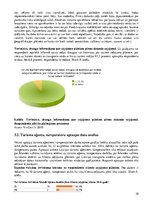 Diplomdarbs 'Islandes vulkāna izvirduma ietekme uz tūrisma nozari Latvijā 2010.gadā', 38.