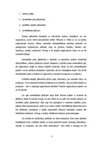 Eseja 'ROPE princips - pētniecība sabiedriskajās attiecībās', 4.