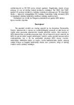 Referāts 'Amerikas ekonomiskā attīstība', 3.