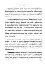 Konspekts 'Mācīšanas stili psiholoģijā', 2.