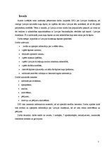 Referāts 'Latvijas dzinējsuņa loma medībās', 5.