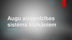Prezentācija 'Augu aizsardzības sistēma burkāniem', 1.