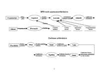 Konspekts 'Uzņēmumu arhitektūras', 2.