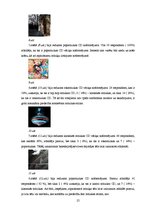 Referāts 'Mūzikas kompaktdisku vāciņu noformējuma atbilstība mūzikas stiliem latviešu mūzi', 25.