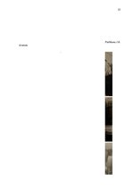 Referāts 'Fotogrāfa Oskara Brīdaka darbība laika periodā no 1926. līdz 1940.gadam', 23.