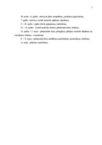 Referāts 'Fotogrāfa Oskara Brīdaka darbība laika periodā no 1926. līdz 1940.gadam', 26.