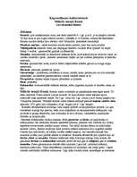 Konspekts 'Māksla Senajā Romā', 1.