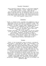 Referāts 'Francijas kultūra', 2.