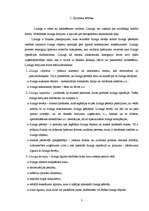 Referāts 'Līzinga veidi un to atspoguļošana finanšu grāmatvedībā', 3.