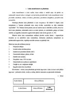 Referāts 'Darba laika efektīvas izmantošanas vadīšana', 4.