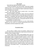 Referāts 'Cauruļvadu transports', 8.