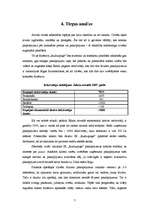 Biznesa plāns 'IK "Rudzupuķe"', 7.