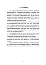 Biznesa plāns 'IK "Rudzupuķe"', 10.