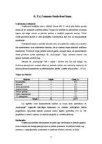 Biznesa plāns 'IK "Rudzupuķe"', 11.