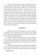 Referāts 'Korupcijas ierobežošanas krimināltiesiskie līdzekļi', 9.