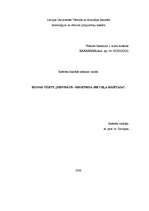 Referāts 'Dievmātes ikona. Odigitrija jeb ceļa rādītāja', 1.