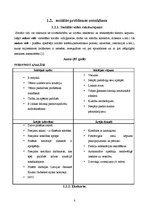 Prakses atskaite 'Sociālā gadījuma risināšana', 8.