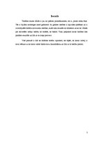 Referāts 'Tiesību dažādas izpratnes', 3.