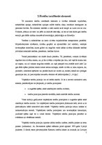 Referāts 'Tiesību dažādas izpratnes', 5.