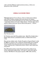 Referāts 'Referāts par Āfriku', 18.