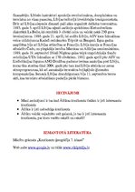 Referāts 'Referāts par Āfriku', 29.