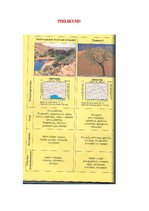 Referāts 'Referāts par Āfriku', 30.