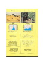 Referāts 'Referāts par Āfriku', 31.