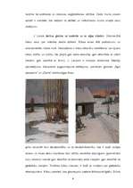 Referāts 'Gleznotājs Jānis Lauva', 6.