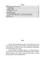 Referāts 'Pašvaldības nozīme, budžets, budžeta mērķis', 1.