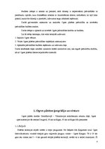 Referāts 'Pašvaldības nozīme, budžets, budžeta mērķis', 2.