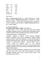 Referāts 'Pašvaldības nozīme, budžets, budžeta mērķis', 7.