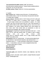 Referāts 'Pašvaldības nozīme, budžets, budžeta mērķis', 8.