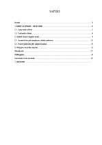 Referāts 'Zibens', 1.