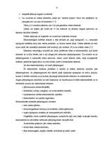 Referāts 'Zibens', 11.