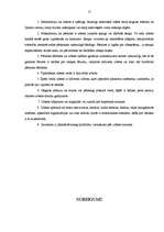 Referāts 'Zibens', 16.