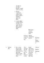 Konspekts 'Koriģējošā vingrošana', 3.