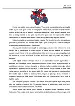 Biznesa plāns 'Aktīvās atpūtas komplekss', 8.