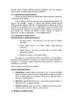 Referāts 'Galvenās administratīvā budžeta plānošanas un kontroles problēmas valsts pārvald', 12.