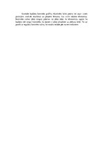 Referāts 'Galvenās administratīvā budžeta plānošanas un kontroles problēmas valsts pārvald', 19.