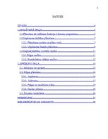 Referāts 'Peļņas un rentabilitātes plānošana', 3.