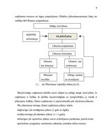 Referāts 'Peļņas un rentabilitātes plānošana', 8.